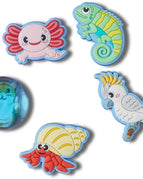 Little Critters Petshop (65)