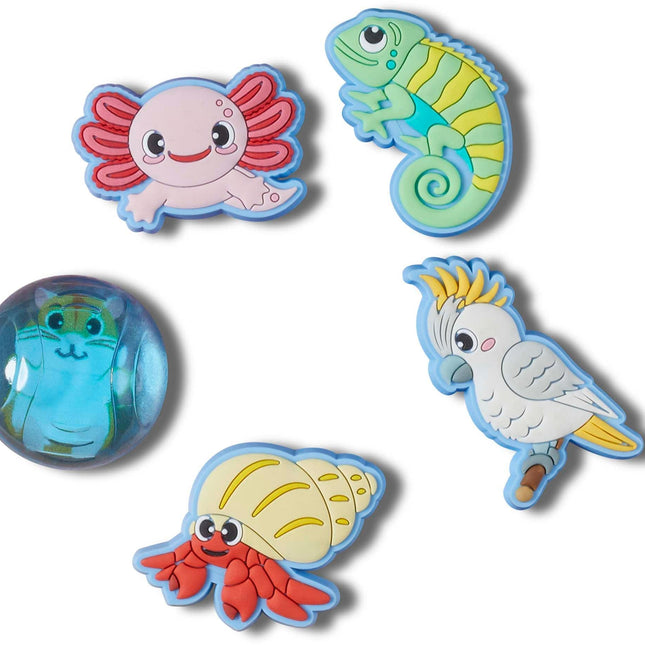 Crocs - Jibbitz 5 Pack (Part 3) - Westside Surf + Street