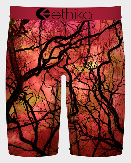 Ethika - Staple Underwear (Boys)