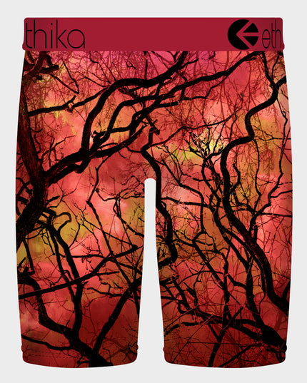 Ethika - Staple Underwear (Boys)