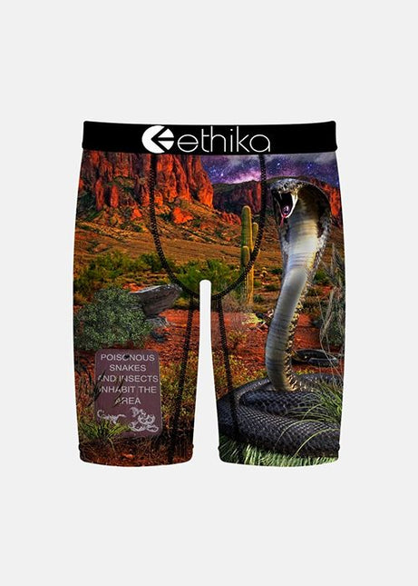 Ethika - Boys Staple Undies