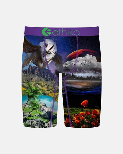 Ethika - Boys Staple Undies