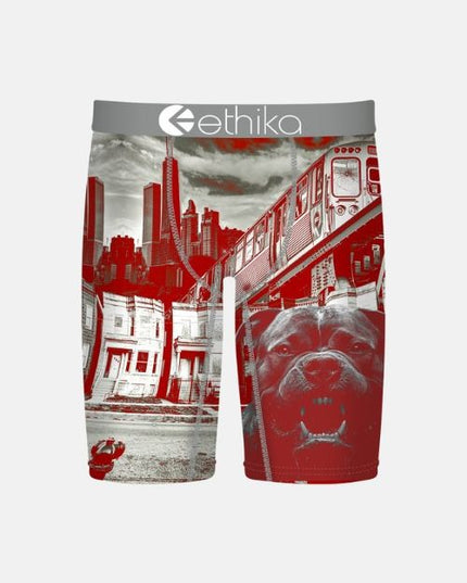 Ethika - Boys Staple Undies