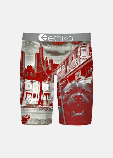 Ethika - Boys Staple Undies