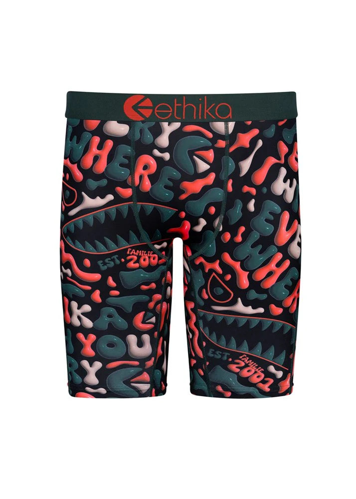 Ethika Boys Staple Boxer Brief Lost Fortune Ethika Bomber Money