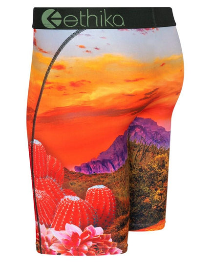 Ethika - The Staple Men's Underwear - Westside Surf + Street