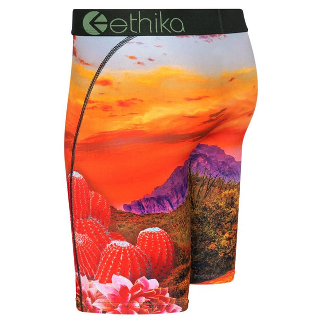 Ethika - The Staple Men's Underwear - Westside Surf + Street