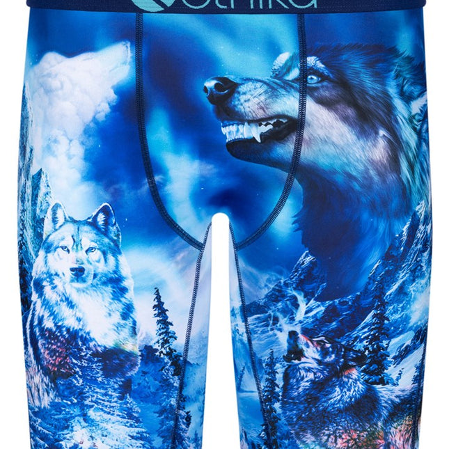 Ethika - Staple Undies (Mens) 1