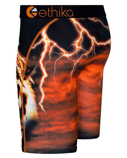 Ethika - Staple Undies (Mens) 2