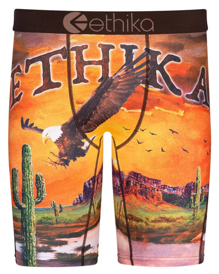 Ethika - Staple Undies (Mens) 2