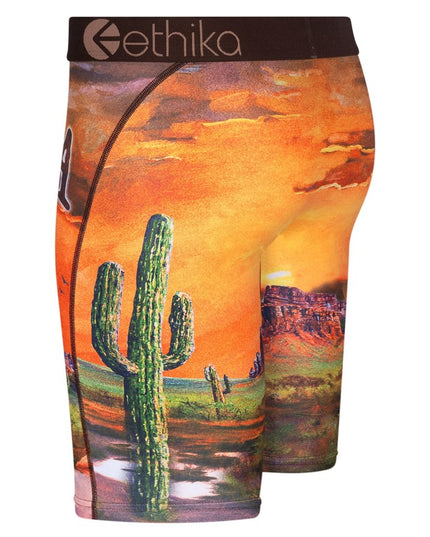 Ethika - Staple Undies (Mens) 2