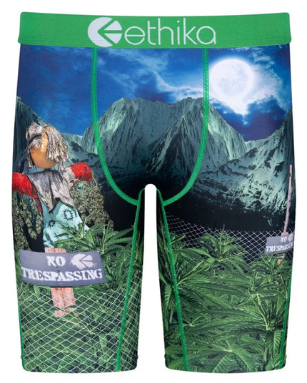 Ethika - The Staple Undies