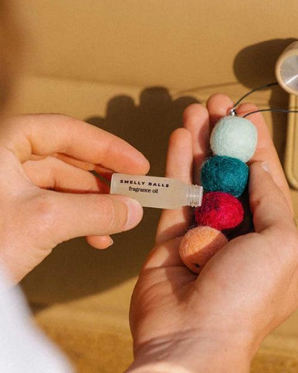 Smelly Balls - Roadie Set Air Freshener - Westside Surf + Street