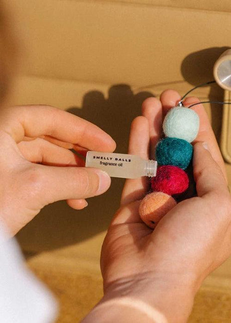 Smelly Balls - Roadie Set Air Freshener - Westside Surf + Street