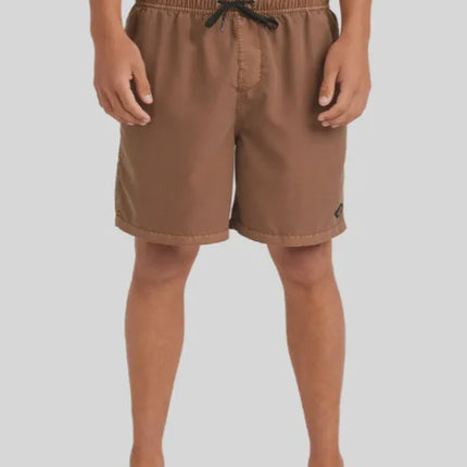 Collection image for: Men's - Boardshorts