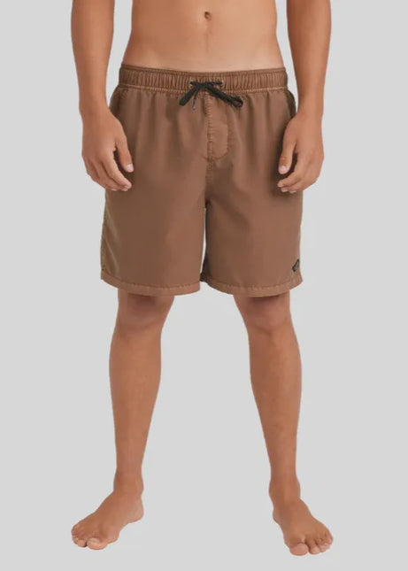 Billabong - Mens All Day Overdye Layback 17" Boardshorts