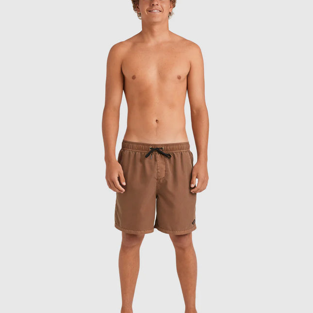 Billabong - Mens All Day Overdye Layback 17" Boardshorts