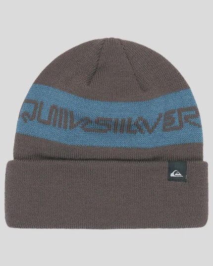 Quiksilver - Hunker Downtown Youth Beanie (Grape Leaf)