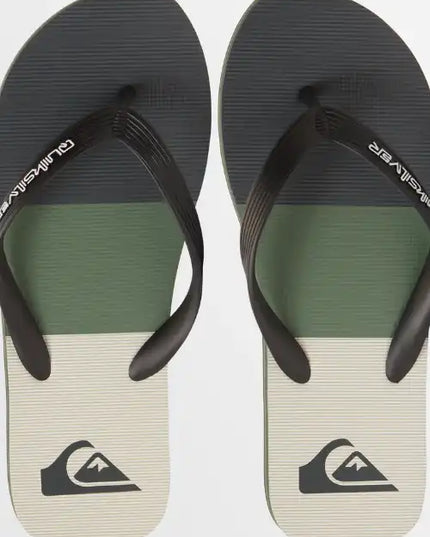 Quiksilver  - Molokai Stripe