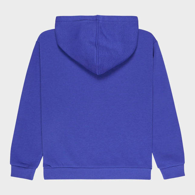 Roxy - Surf Feeling Hoodie Brushed (Dazzling Blue )
