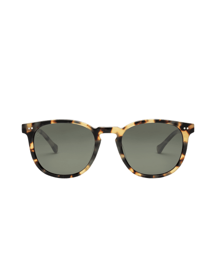Electric - Oak Polarized - Westside Surf + Street