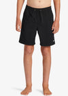 Quiksilver - Everyday Volley 15NB (Youth)